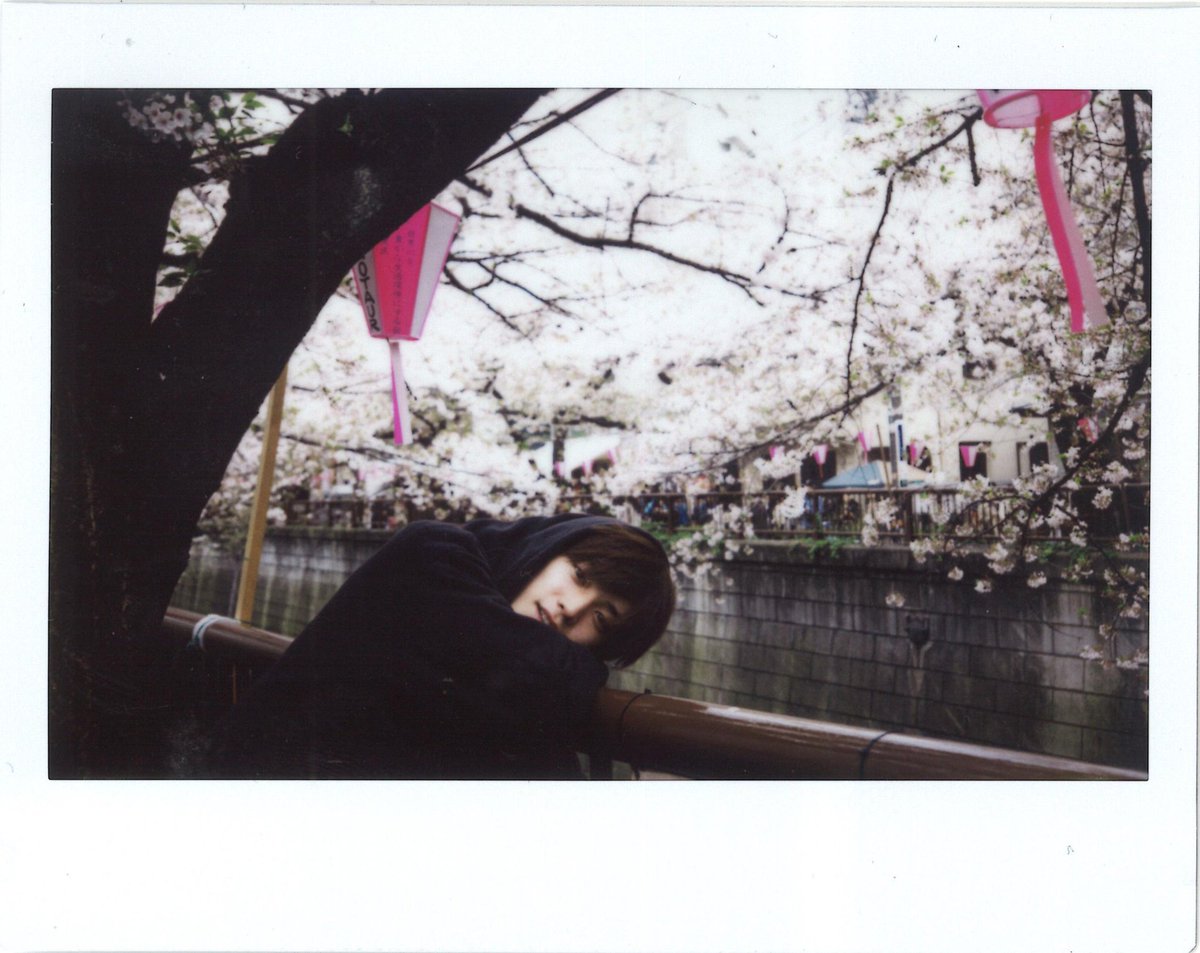 nct_127's tweet photo. one of taeyong's happiest moments was the 1st time he visited japan and saw the cherry blossoms 😭... more than 5 years ago ❤️ https://t.co/9fHqLDsu0g