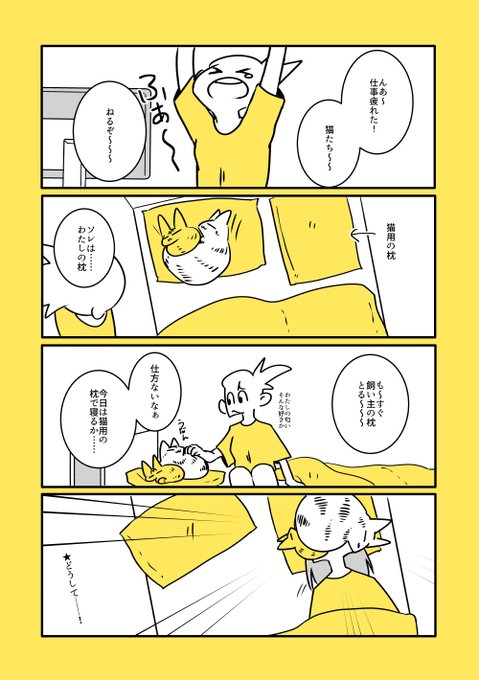 猫のものは猫のもの、飼い主のものも猫のもの 