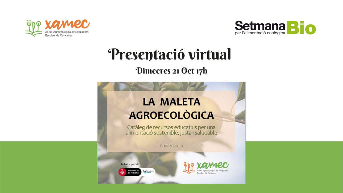Xamec tweet media