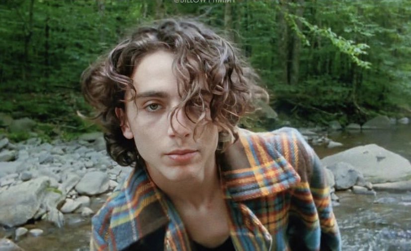 that woodstock forest looks so good for timothée