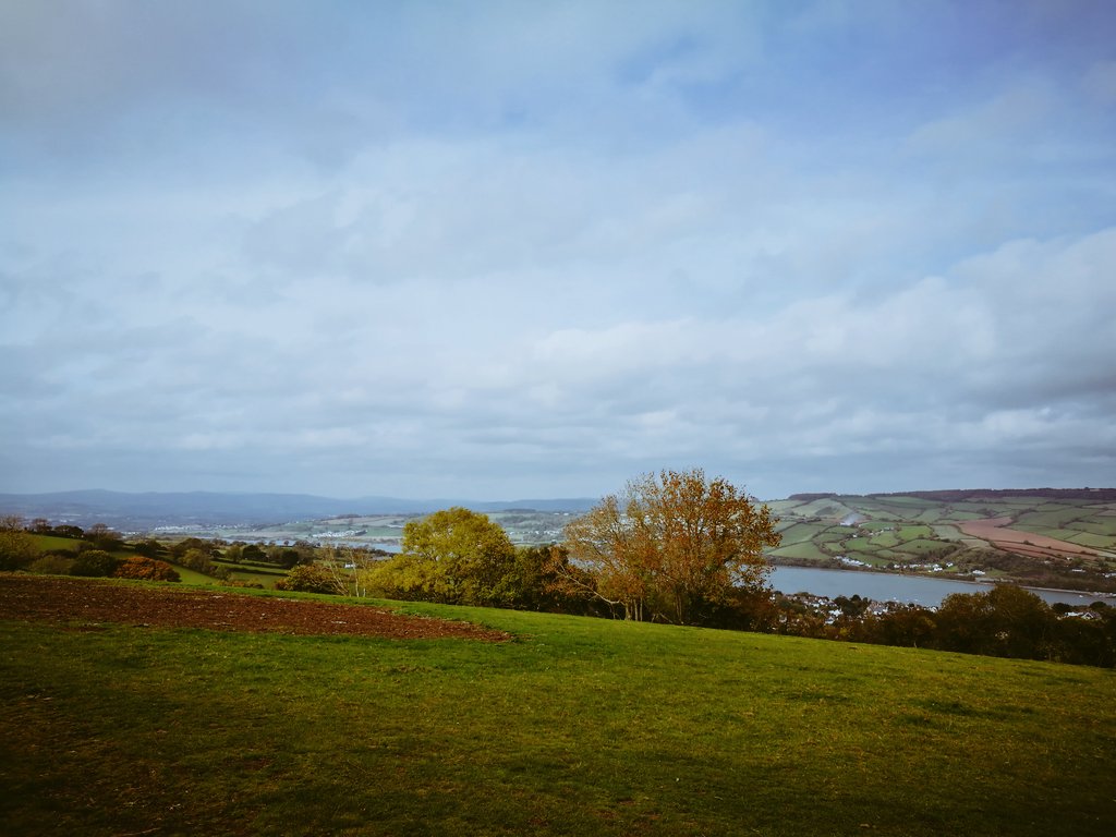 Mike Ferguson tweet media