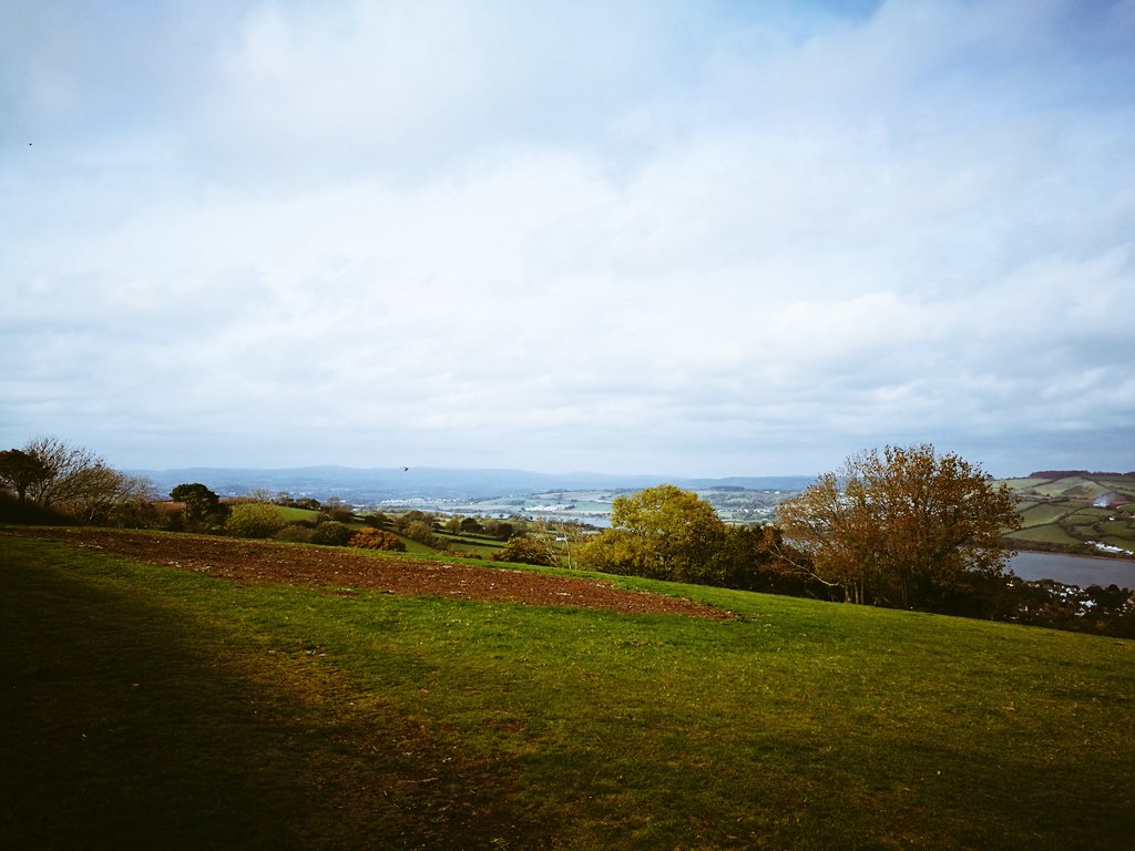 Mike Ferguson tweet media