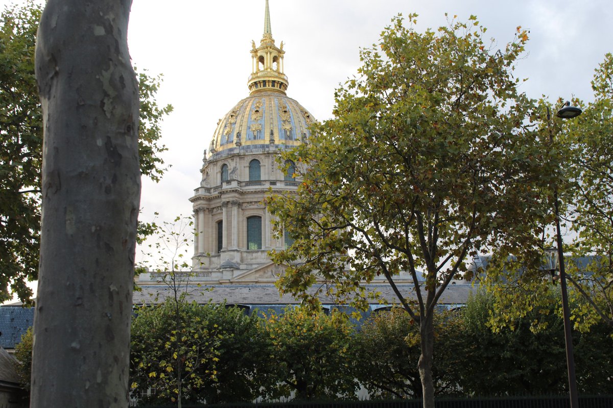 PauloHMOliveir2's tweet image. 