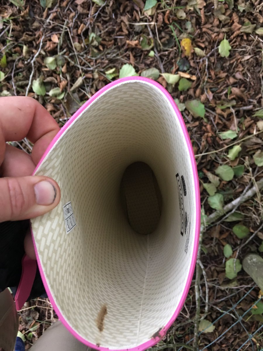 MudMartin's tweet image. Bit muddy this morning