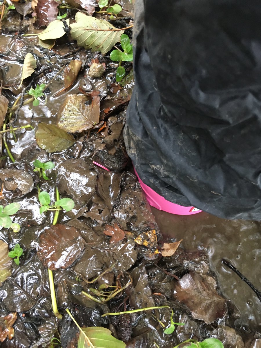 MudMartin's tweet image. Bit muddy this morning