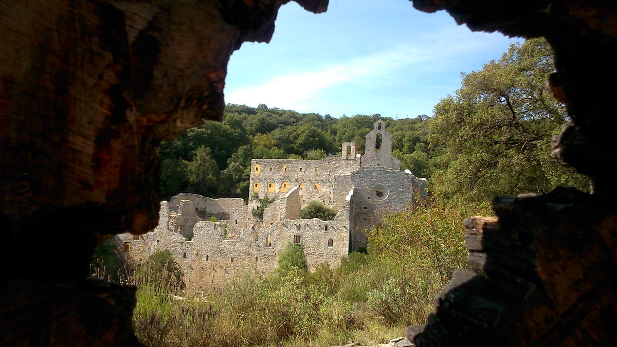 Debido a trabajos de mantenimiento interno, nos vemos obligados a cerrar al público desde hoy las instalaciones del Jardín Botánico de Santa Catalina.
El viernes ofreceremos más información sobre la apertura del Jardín de cara al fin de semana. Rogamos disculpen las molestias. https://t.co/sn4ODr6e55