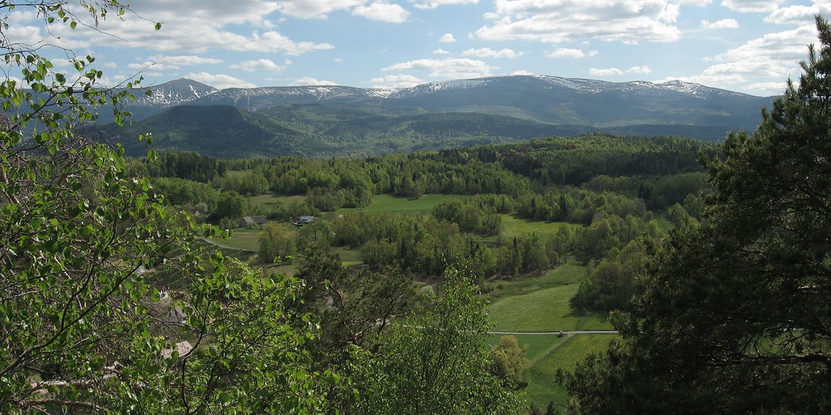 InterregML's tweet photo. For people living in and around #jeleniagora and #karkonosze National Park  the colleagues from @Karkonoski_PN are organising an online workshop tomorrow at 12:00 pm. Please find more information here: https://t.co/sxAGPGLQEV
#cooperationiscentral #GreenInfrastructure https://t.co/mlJKSA8iRo