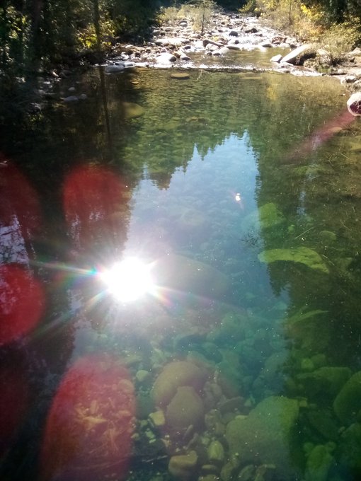 1 pic. Out in plumas national forest! Absolutely gorgeous. I'm so glad to be home though. How have you