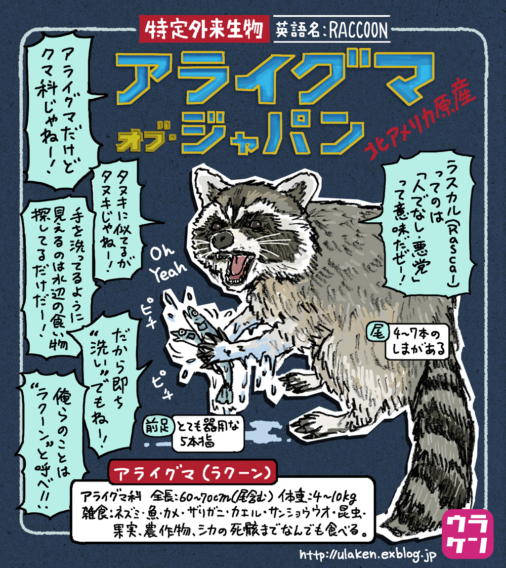 お仕事を運んでくれたイラスト ツイッターでアライグマの外来種 問題についてイ ウラケン ボルボックス なんてこった ざんねんなオリンピック物語 好評発売中の漫画