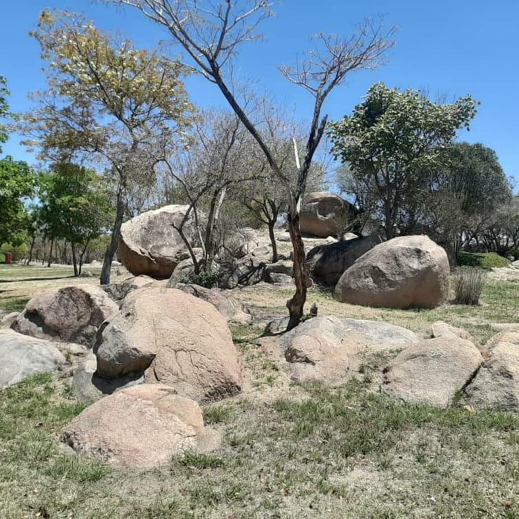 TheSMResort's tweet photo. Look into the nature and then you will understand everything  better...  

The beautiful Stephen Margolis  Resort.

#stephenmargolisresort #naturelovers #beautiful #outdoors #ALifeOnOurPlanet #mindfulness #johnvuligatechallenge #TravelsOfALifetime https://t.co/dOrzjuIHuF