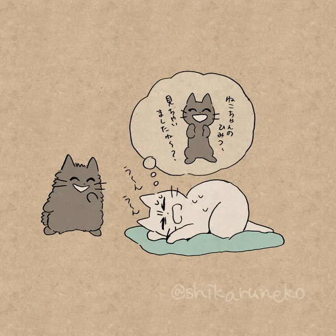 髪が伸びっぱなしの人と、しかるねこと、あまやかすねこ 続 