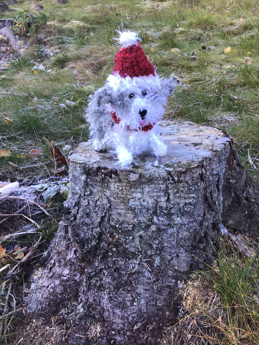 borderbears's tweet image. #beardedcollie mohair bearded collie bear. ten inches long.  santa hat and scarf come off. £30 or €35 or $40 including shipping