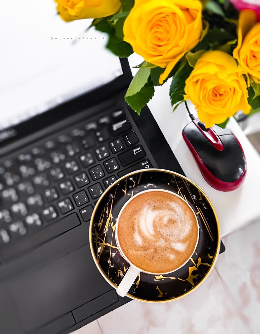 قلبي مشرع شبابيكه للصباح بكل حُب،
لذلك صباح الخير جداً 🌻🍃 . .