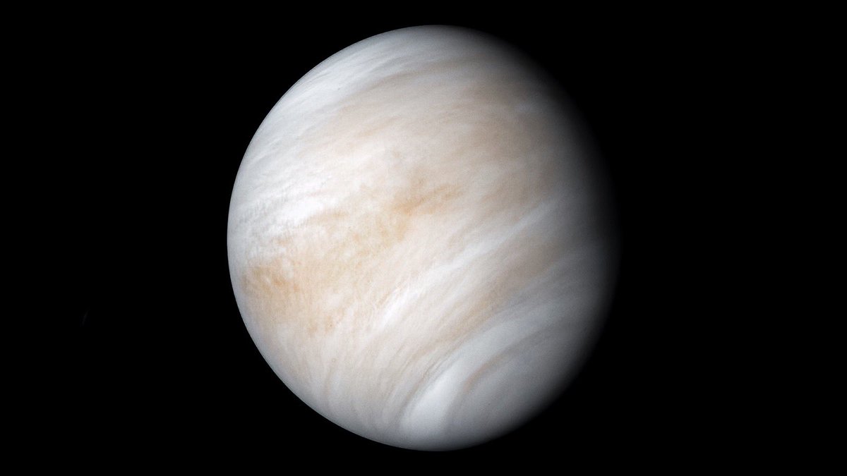 venus