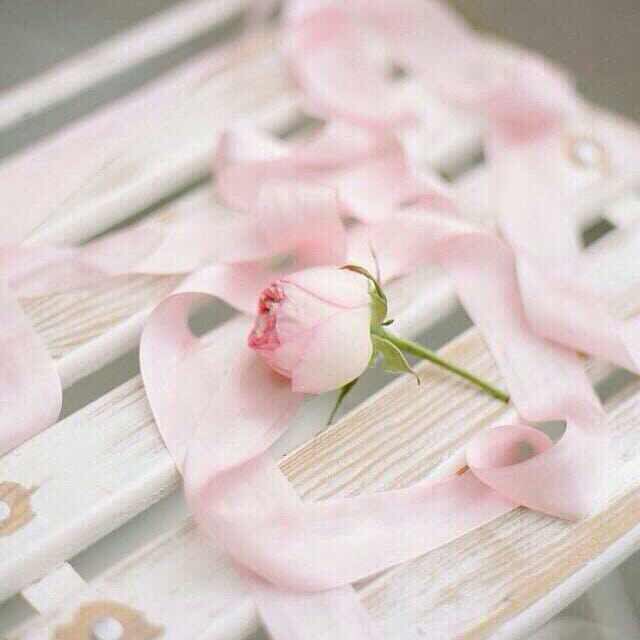 #صباح_الخيرᅠكن متسامح ..
المُتسامحون أسعد الناس قلوباً عرفوا قيمة الدنيا فلم يُبالوا بأخطاء البشر 
﴿فَمن عفَا وأصلحَ فأجرهُ علَى اللَّهِ﴾

"الخُلق قبل الخَلق .. الداخلي قبل الخارجي"
اللهُم كما جمّلت خَلقنا جمّل خُلقنا وأجعلنا من الطيبين وسخر الطيبين لنا..