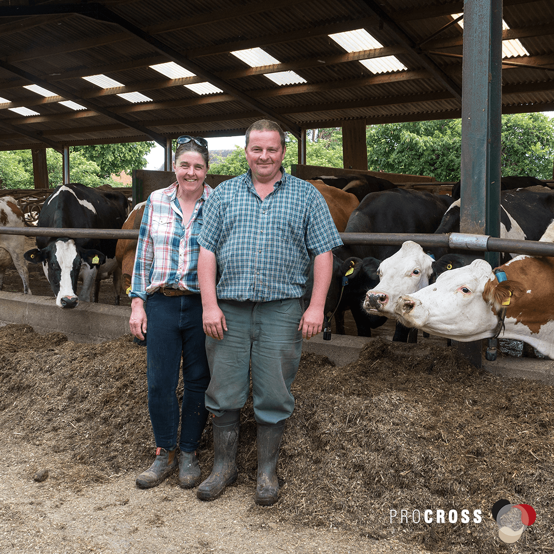 VikingGenUK's tweet image. Karen and Jonathan Martin at Longford Farm in Market Drayton used crossbreeding to turn around their Shropshire farm after TB devastated their herd. The decision was right, and ProCROSS transformed their dairy business. 
Read more online: 
vikinggenetics.co.uk/media/news?sho… 
#procross