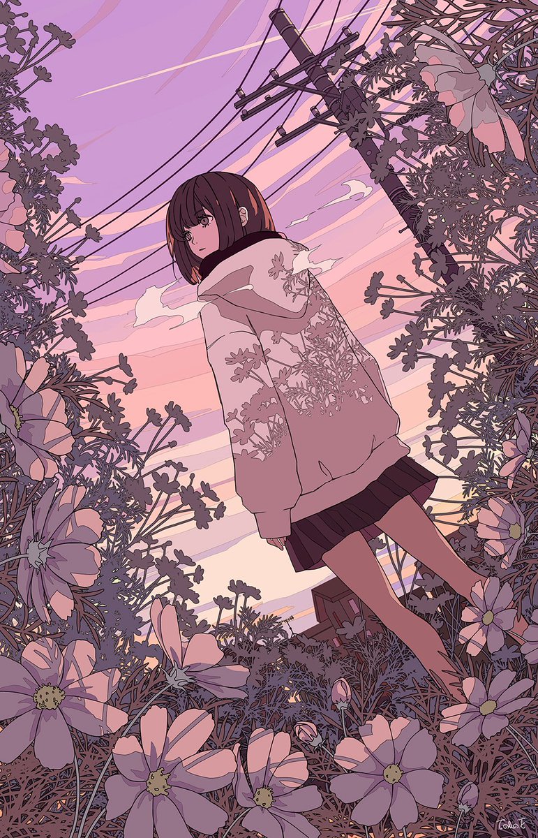 「秋桜 」|トーコ Tokoのイラスト