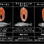 お買い物の参考になるかも!いまいち区別がつかなかった、鮭の種類の一覧表!