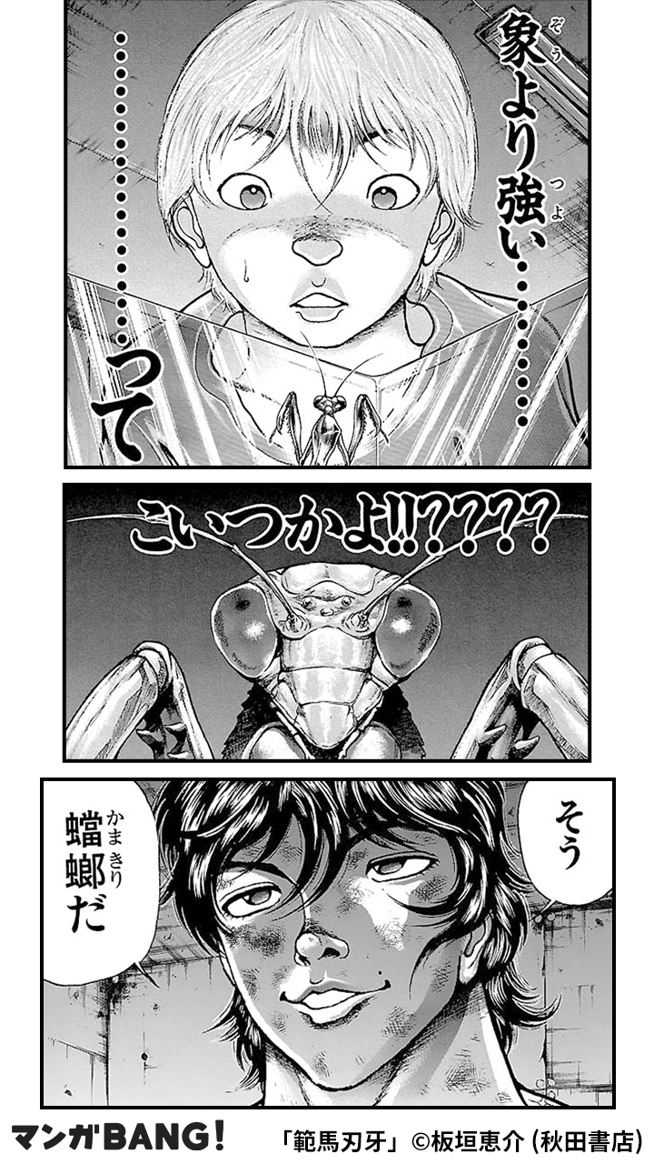 マンガbang 人気マンガが無料で読める Pr 在 Twitter 上 範馬刃牙 Vs 体重100kgのカマキリ 3 3 T Co Yk5ewbyg2d T Co Fuvgjeugeo Twitter