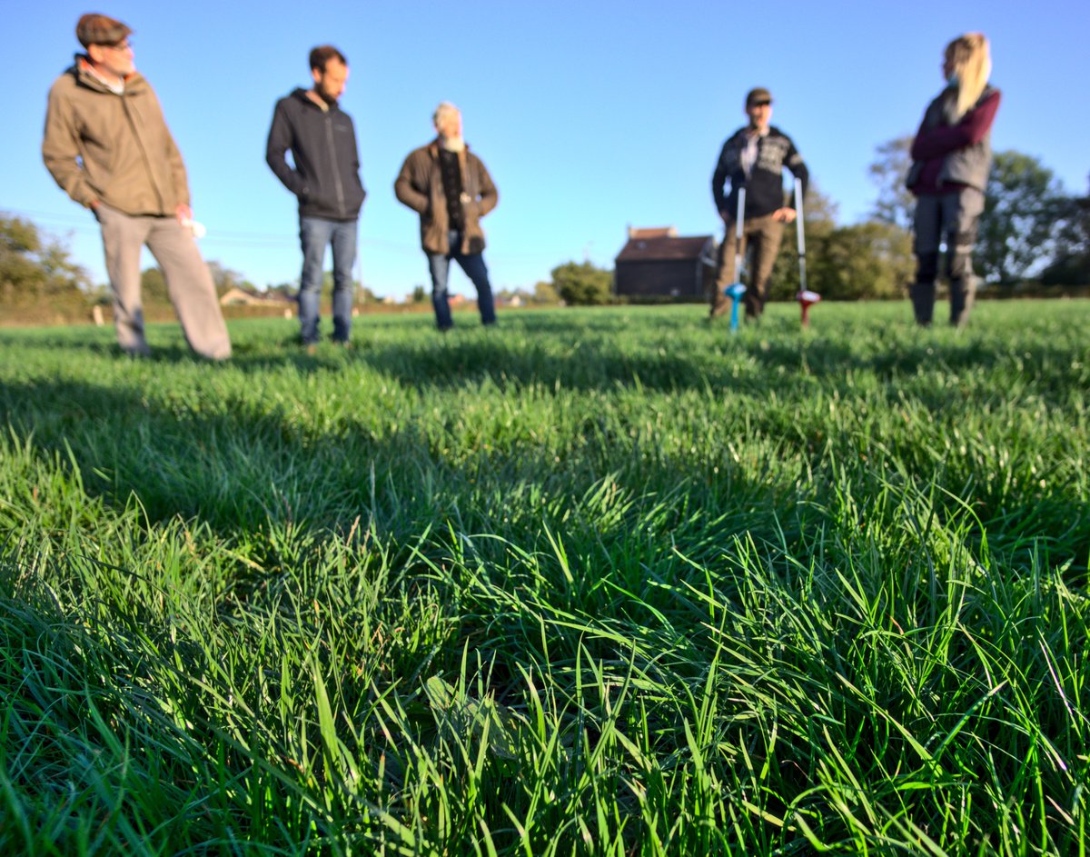 obsherbe's tweet photo. Ervaring delen met andere boeren over "Opti Graze Start" bij Elevage des Siquesses. 1-op-1 coaching voor #dagelijksomweiden #rotationalgrazing met #grashoogtemeter #herbomètre #jenquip en #AgriNet [pictures CC https://t.co/DP6M9ENuQW 2020] https://t.co/LRht3j5oIE