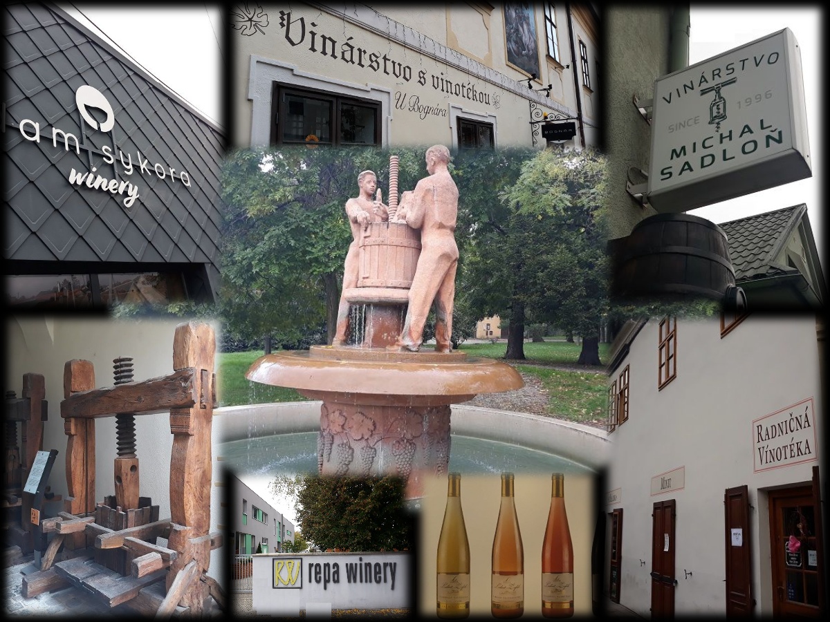 CEE PORTAL tweet media