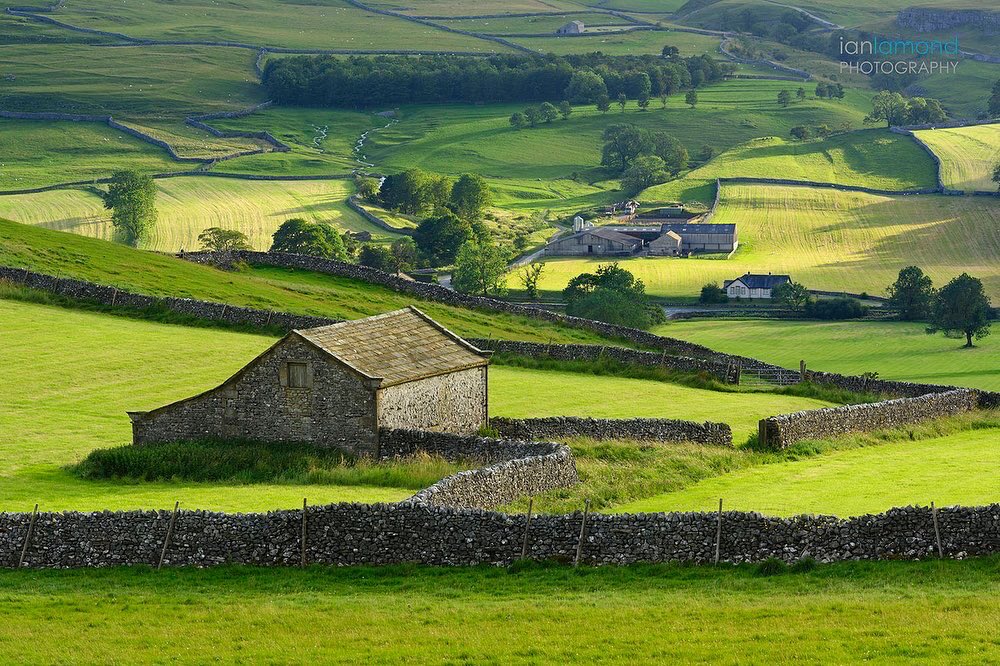 Two reasons why I love the Yorkshire Dales. Just beautiful.