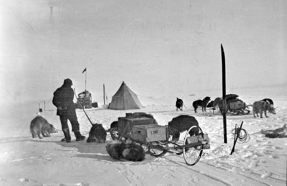 danthewhaler's tweet image. 1911, Amundsen leaves Framheim on his second attempt to reach the South Pole before Scott and his party. There are 5 men, 4 sledges and 52 dogs, it will take them 56 days to reach the pole and 38 days to return.