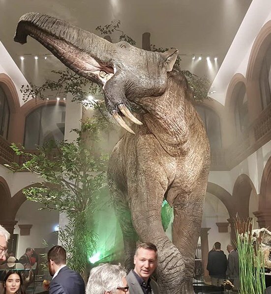 Deinotherium at Mainz Natural History Museum. : r/Naturewasmetal