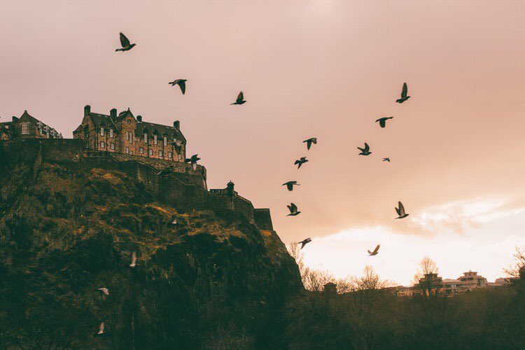 كن على يقين:
بأذن الله أن هناك شيء ينتظرك بعد الصبر ليُبهرك ويُنسيك مرارة الألم ، ذاك وعد ربي
"وبشر الصابرين"❤