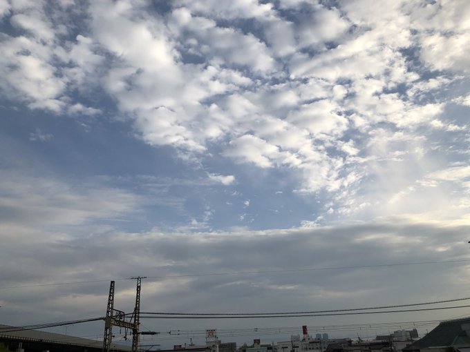 ドヨーンのtwitterイラスト検索結果