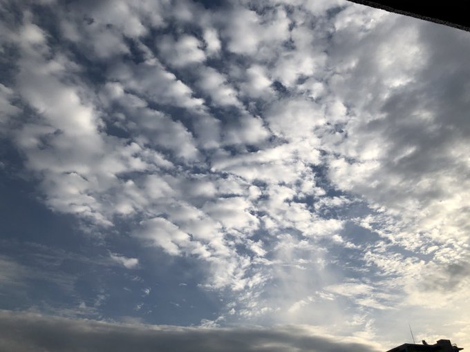 ドヨーンのtwitterイラスト検索結果