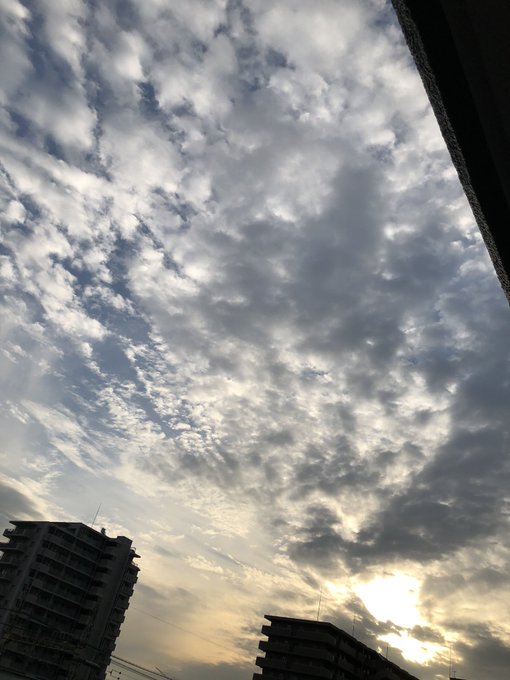 ドヨーンのtwitterイラスト検索結果