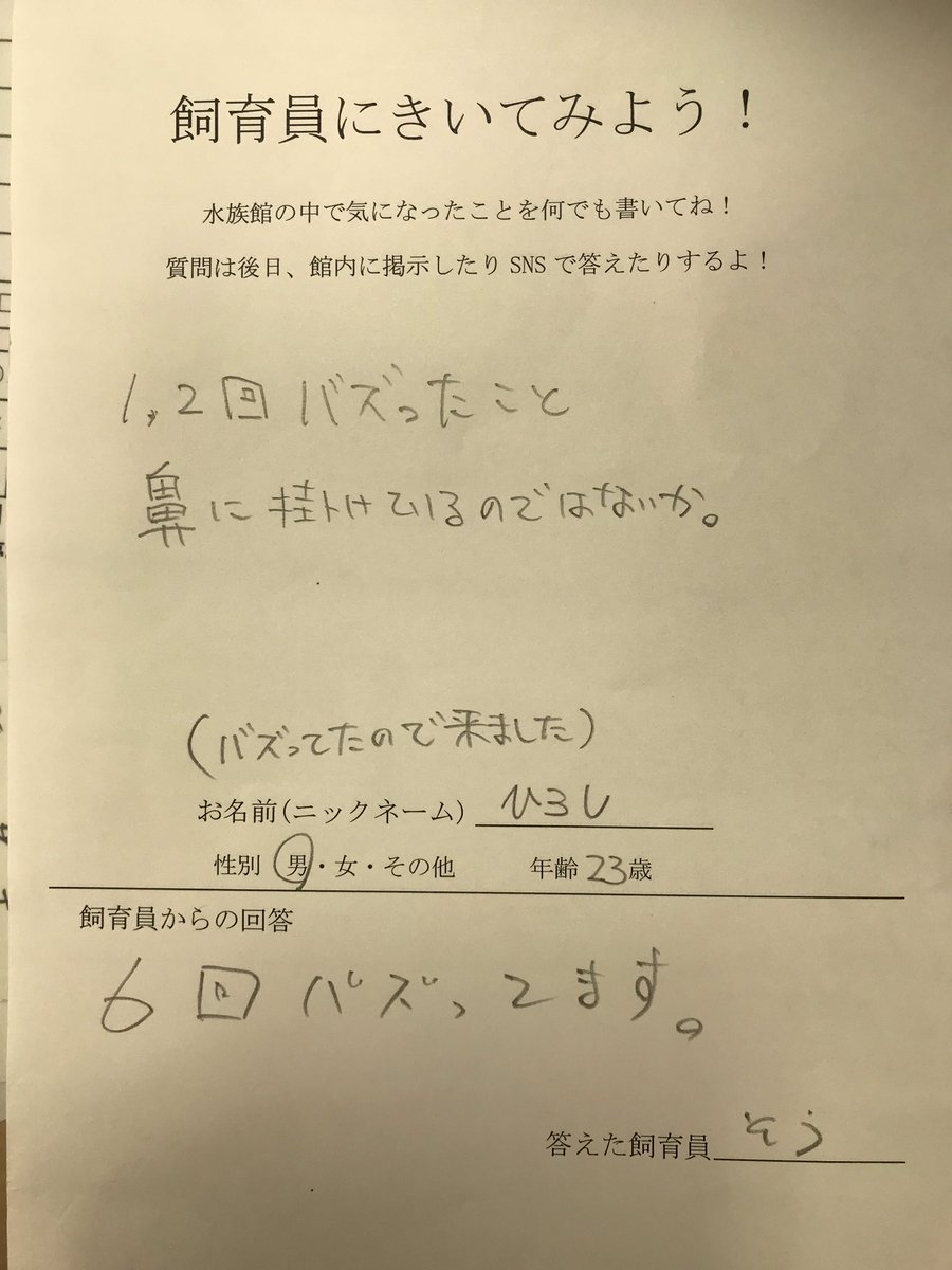 水族館の飼育員さんへの質問欄 1 2回バズったことを鼻にかけているのでは 館長直々の回答が斜め上だった Togetter 水族館の飼育員さんへの質問欄 1 2回バズったことを鼻にかけているのでは 館長直々の回答が斜め上だった Togetter