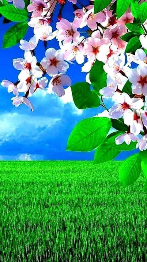 danacrictina's tweet photo. Morning byuti day https://t.co/2cXHu8o36t