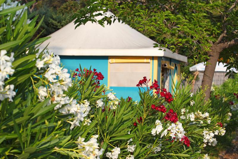 CampingDirect's tweet image. 👉 On profite des belles couleurs de cette tente toilée et des souvenirs de l'été pour entamer cette nouvelle semaine ! #MondayMotivation 

📷 Campéole Santa Lucia (Var, France)