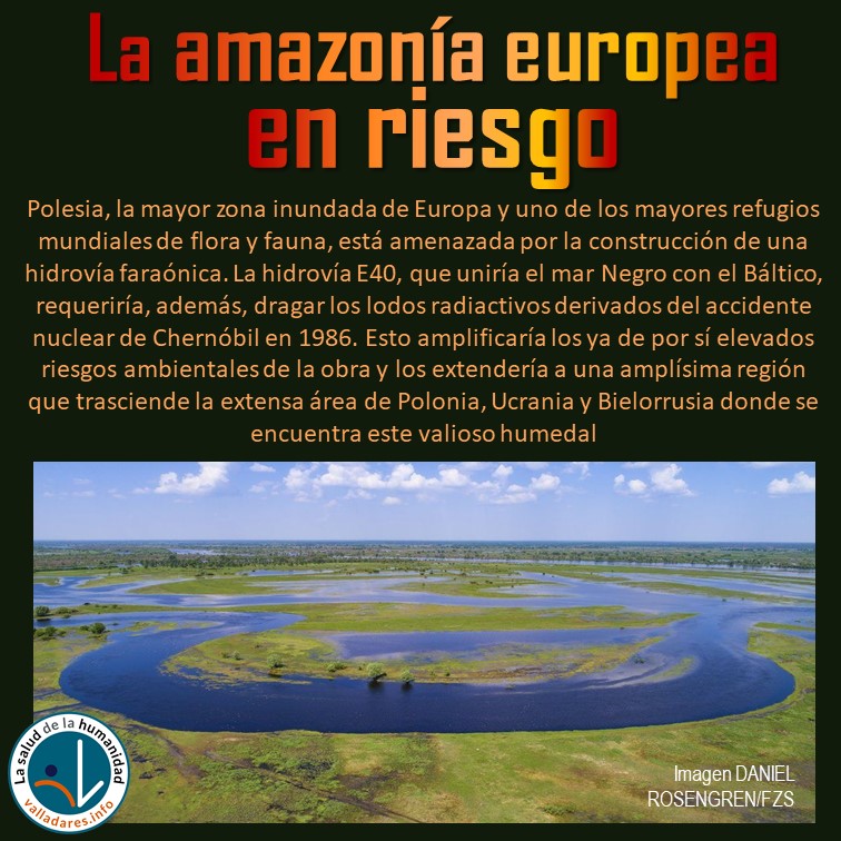 Pensamos que los problemas ambientales en la amazonía no nos afectan. Gran error. Pero es que, además, tenemos nuestra propia amazonía (se llama Polesia), también nos la estamos cargando y los problemas, graves, entrarán hasta la cocina si no hacemos nada

savepolesia.org