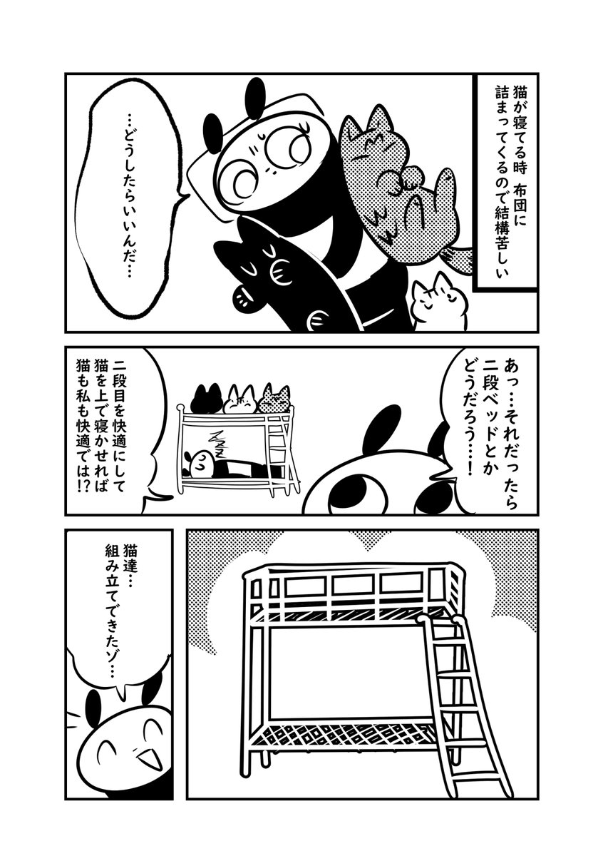 良かれと思って猫に二段ベットを与えたら格差が生まれてしまった話(1/2) #ぬら次郎日記 #猫パン日記 