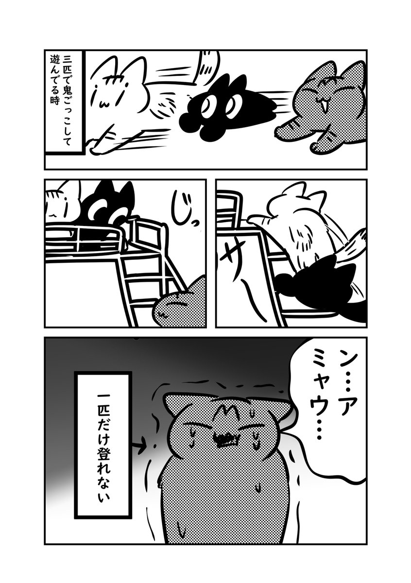 良かれと思って猫に二段ベットを与えたら格差が生まれてしまった話(2/2) 