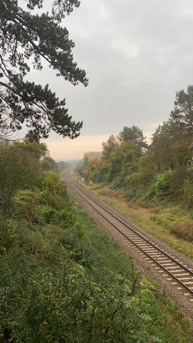 Lovely Autumn picture taken by our Gardener Cat #autumn #morning #gardens #maintenance #oxfordshire
