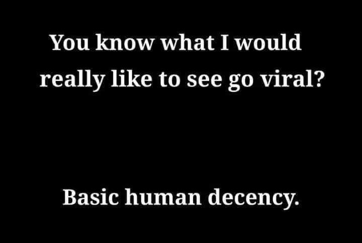 coleygirl66's tweet image. Wouldn’t that be novel? 

#humandecency #kindness