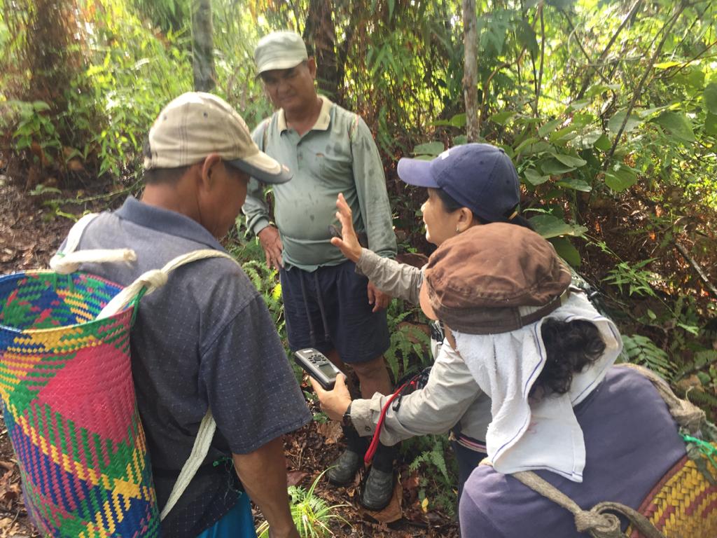 Gumal's tweet photo. Wonderful news. Empowered #Indigenous #Iban women in Ng Talong #longhouse, next to LanjakEntimau WildlifeSanctuary, Sarawak setting camera traps for wildlife monitoring & conservation. #GuidedByScience #WomenInScience #CitizenScientist @sfcsarawak @WhitleyAwards @SmithsonianWls https://t.co/4USZKCtnM4