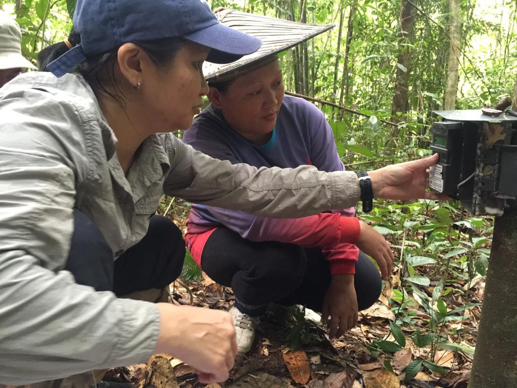 Gumal's tweet photo. Wonderful news. Empowered #Indigenous #Iban women in Ng Talong #longhouse, next to LanjakEntimau WildlifeSanctuary, Sarawak setting camera traps for wildlife monitoring & conservation. #GuidedByScience #WomenInScience #CitizenScientist @sfcsarawak @WhitleyAwards @SmithsonianWls https://t.co/4USZKCtnM4