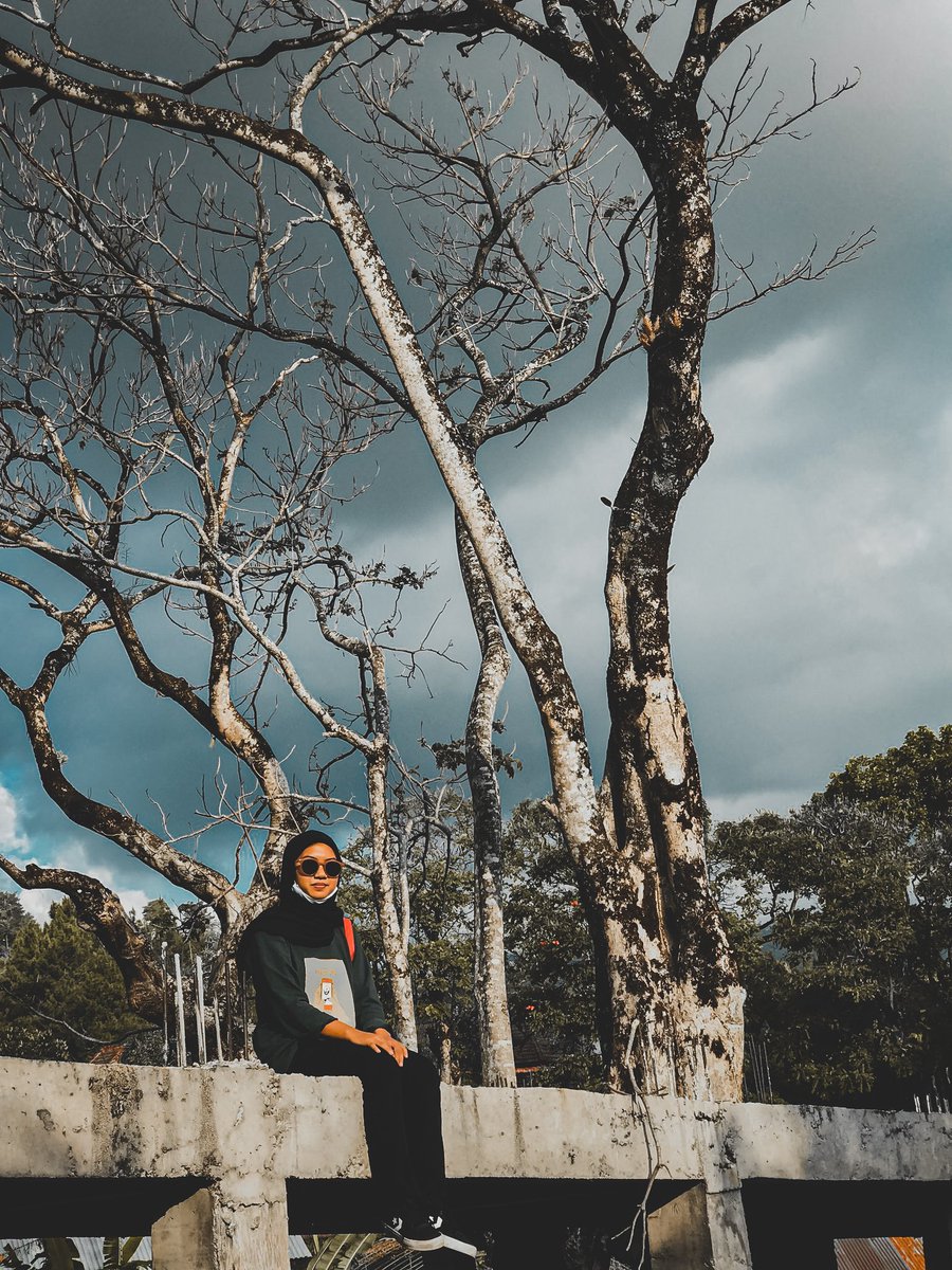 akun ini dalam perkembangbiakan tweet media