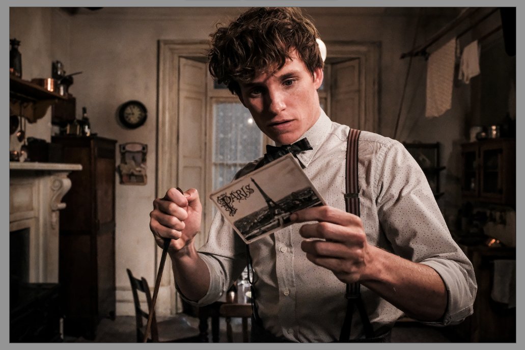 And finally, in:FANTASTIC BEASTS AND WHERE TO FIND THEMTHE DANISH GIRLTHE AERONAUTS