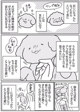 可愛さのピークは仔犬なのかと思っていた 犬と暮らし始めて認識が180度変わった飼い主の漫画に共感の声 1 2 ページ ねとらぼ