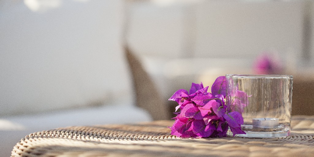Grupotel Hotels & Resorts tweet media