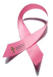 tallarines941's tweet photo. Hoy es el #DiaMundialContraElcancerdemama y quiero sumarme a la campaña #SacaPecho de la @aecc_es , así que os voy a hablar de la gran importancia de la investigación básica en esta enfermedad para dar con mejores diagnósticos y tratamientos #BioHilo https://t.co/0gqboJCYQg