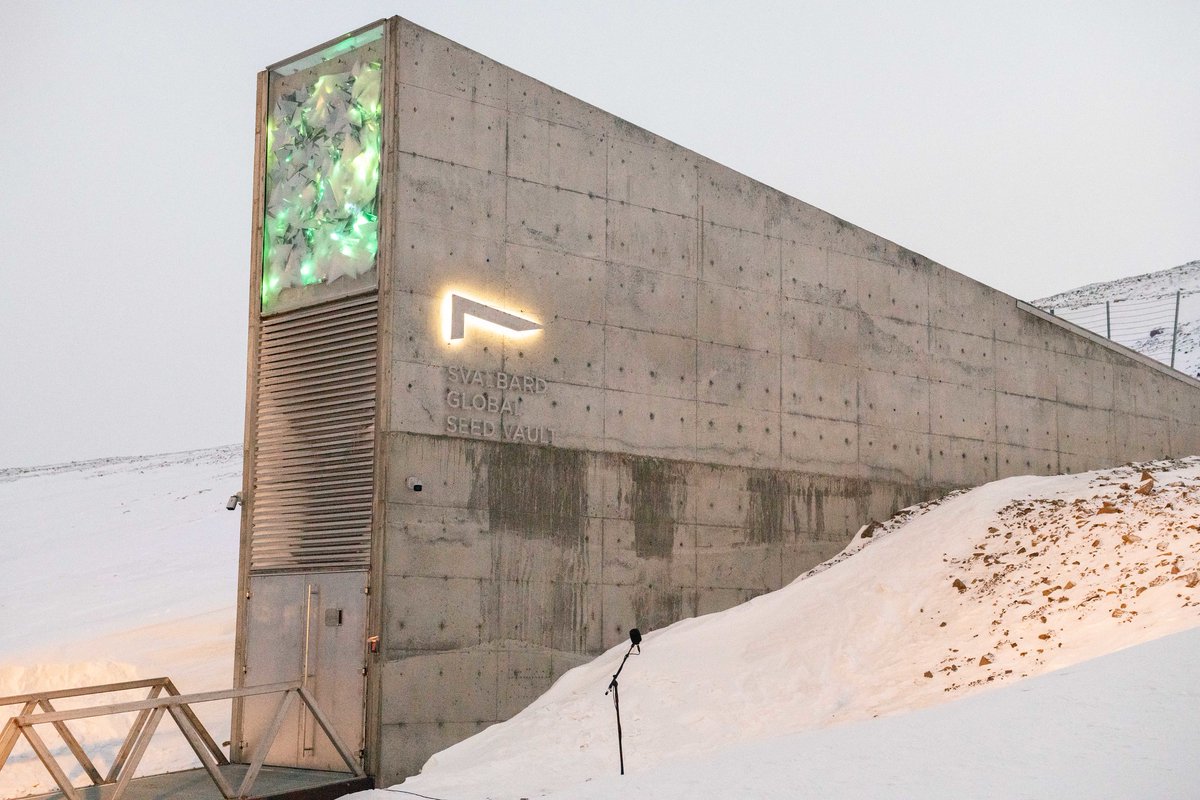 Next week the #SeedVault welcomes the latest shipment of back-up #seeds! They’ll be coming from Africa, Europe, and Southeast Asia; from international, regional, and national #genebanks. 
Stay tuned for more news! 
seedvault.no
@CropTrust @NordGen @landbrukogmat