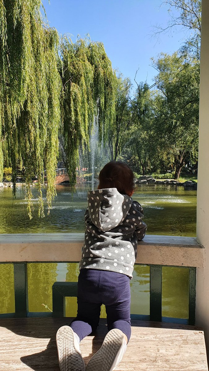 m_casc's tweet photo. First 24 hours in Beijing and I have already fallen in love with the city!

Any suggestions on where to go? 

Be creative! 

#china #beijing https://t.co/YOJuyNUo2Z