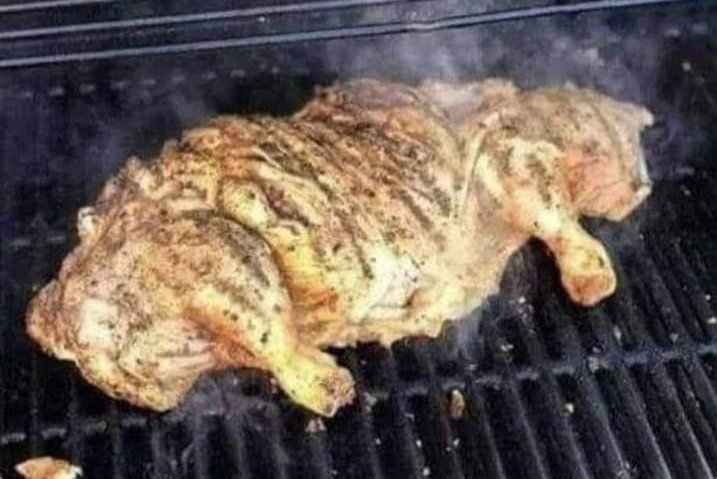 lindz_malindz's tweet photo. Chicken almost ready🔥🔥🔥🔥 https://t.co/EM6XbzohRo